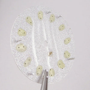 Double bar no date window Nologo 29mm Sand Dune Watch Dial Plate for NH35 NH36 ETA2824 PT5000 ST2130 Silver Hand no date Watch Parts for Diver Watch Mod - Tandorio Watches