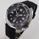 PT5000 Turtle Dive Watch Tandorio TD239P 120 Clicks 3.8 Crown Super Luminous Dial Sapphire 20Bar Japan NH35
