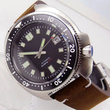 PT5000 Turtle Dive Watch Tandorio TD239P 120 Clicks 3.8 Crown Super Luminous Dial Sapphire 20Bar Japan NH35