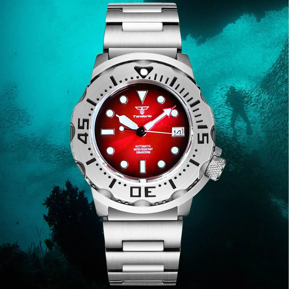 42mm Monster Dive Watch Tandorio TD254K 20Bar NH35A Men Automatic AR Sapphire 3.8 o'clock Crown